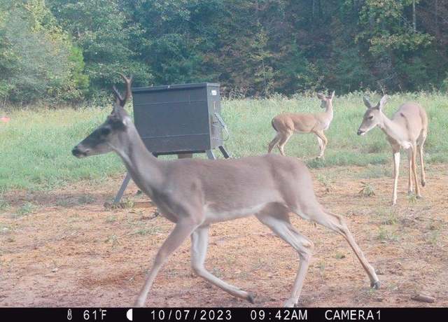 Property at 000 NW FM 1511 N, Oakwood, TX 75855