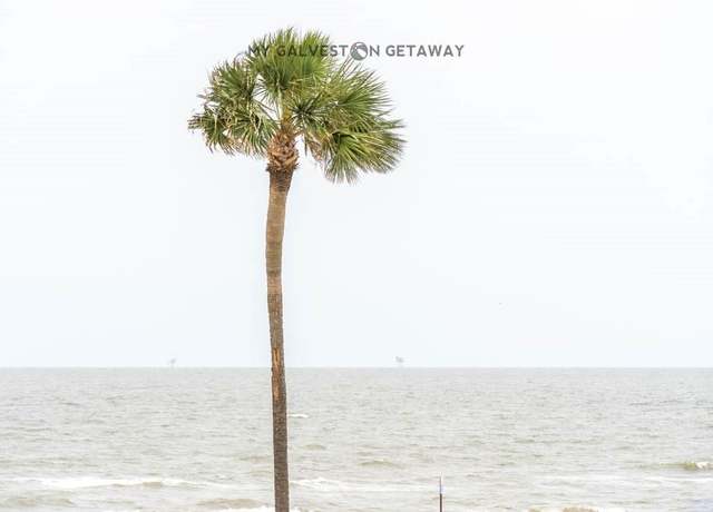Property at 6300 Seawall Blvd #9214, Galveston, TX 77551, 1 bed, 1 bath