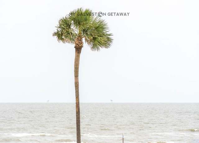 Property at 6300 Seawall Blvd #9214, Galveston, TX 77551, 1 bed, 1 bath