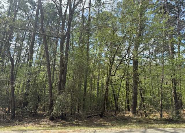 Property at 126 Green Tree Dr, Coldspring, TX 77331