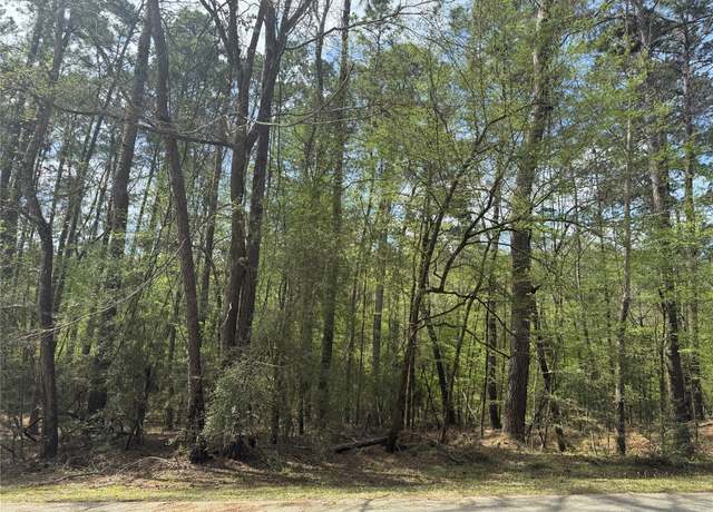 Property at 126 Green Tree Dr, Coldspring, TX 77331