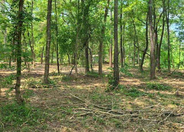 Property at TBD Lake Dr W, Willis, TX 77378