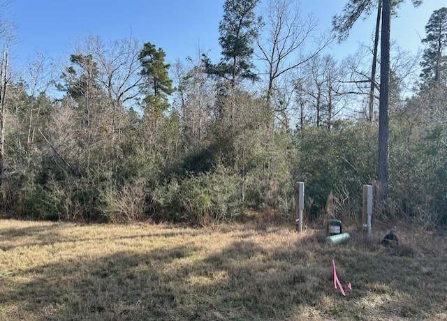 Property at 380 Iron Horse Rd, New Waverly, TX 77358