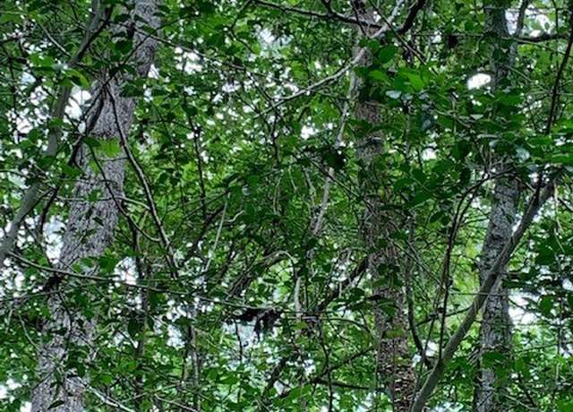 Property at 00 Bailey Grove Rd, Montgomery, TX 77356