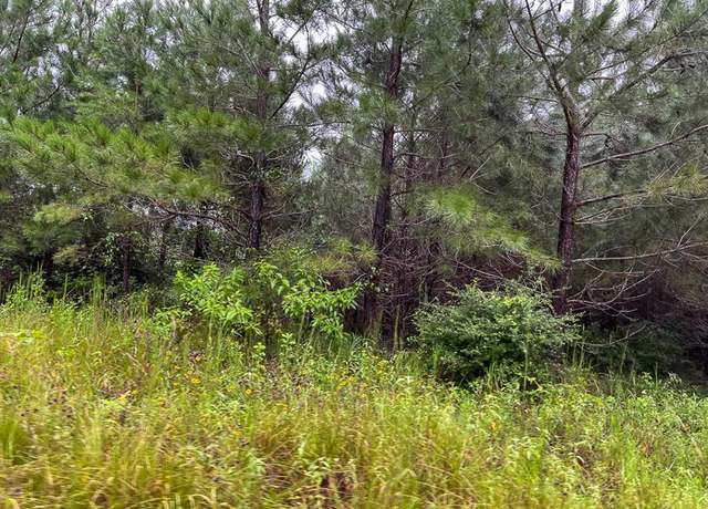 Property at 1 Off County Road 2064, Crockett, TX 75835