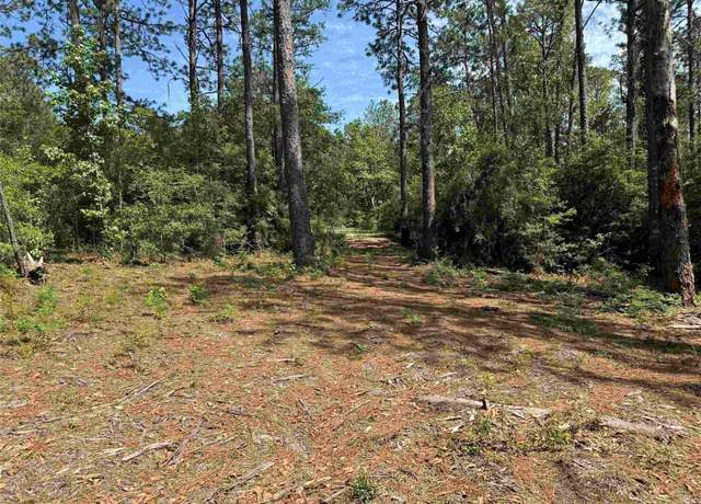 Property at 565 Sparkleberry Dr, Brookeland, TX 75931