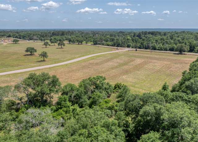 Property at 249 Bellwood Lake Ln, Bellville, TX 77418