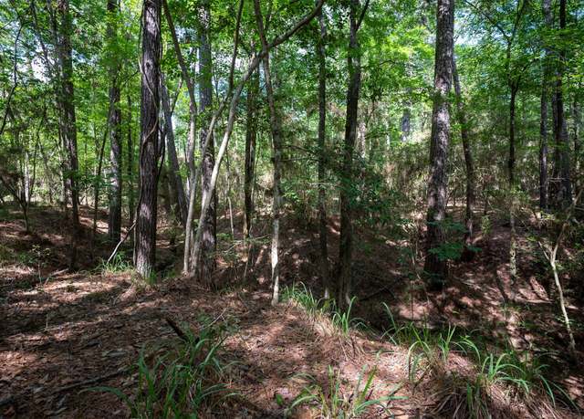 Property at tbd County Road 3610 E, Woodville, TX 75979