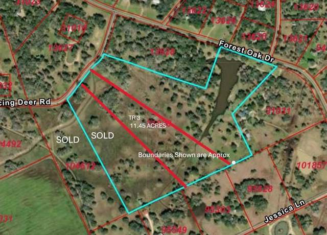 Property at TR 3 Dancing Deer Rd, Altair, TX 77412