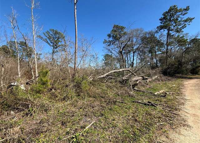Property at 15957 Largent Dr, Plantersville, TX 77363
