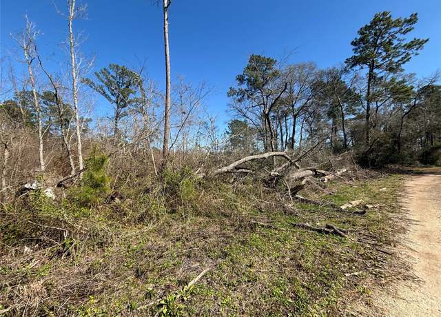 Property at 15957 Largent Dr, Plantersville, TX 77363