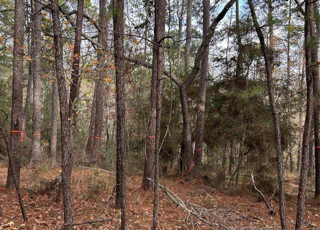 Property at 210 Twinstone Dr, Coldspring, TX 77331