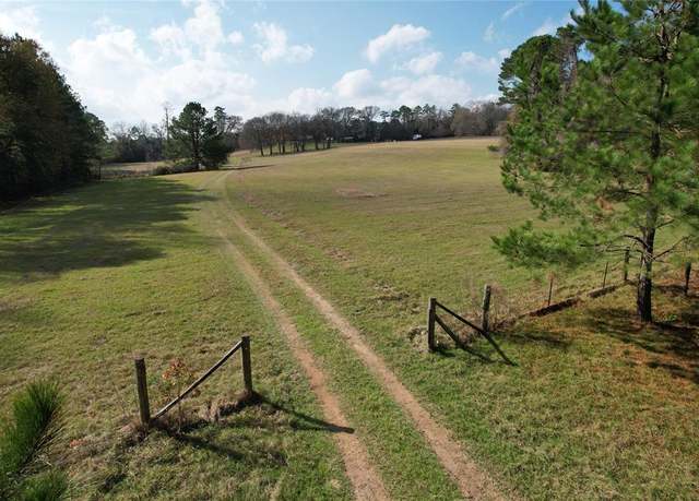 Property at TBD County Rd 1585, Grapeland, TX 75844