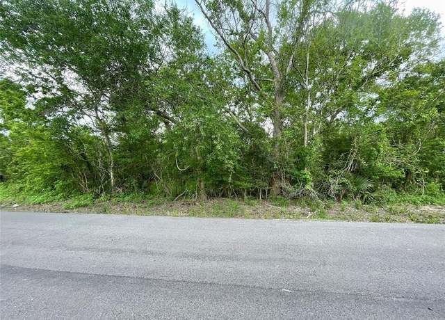 Property at 0 County Road 319, Brazoria, TX 77422