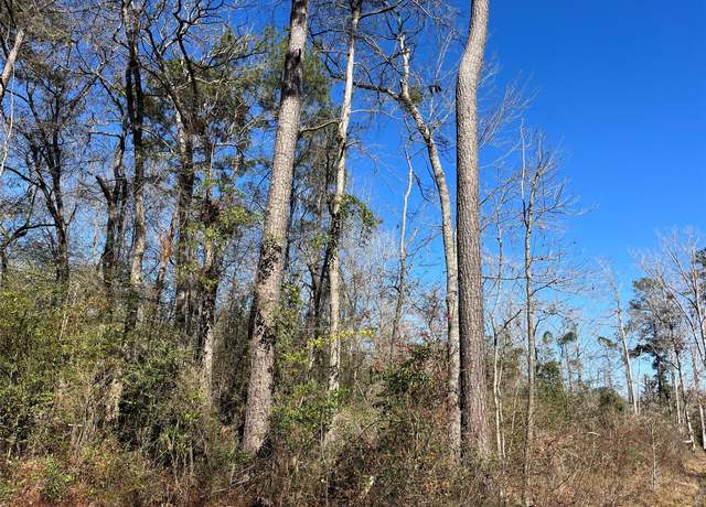 Property at 000 Pine Valley Dr, Shepherd, TX 77371