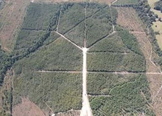 Property at TBD Fm 420, Kountze, TX 77625