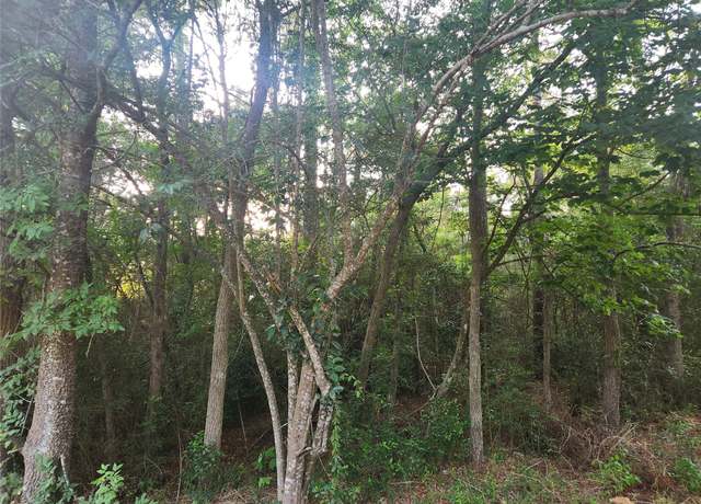 Property at Lot 16 Weeping Willow Ln, Plantersville, TX 77363