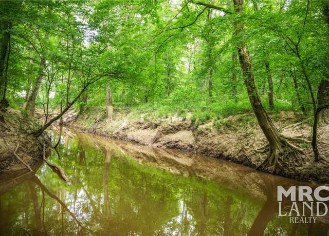 Property at 00 Dorsey Rd, Hemphill, TX 75948