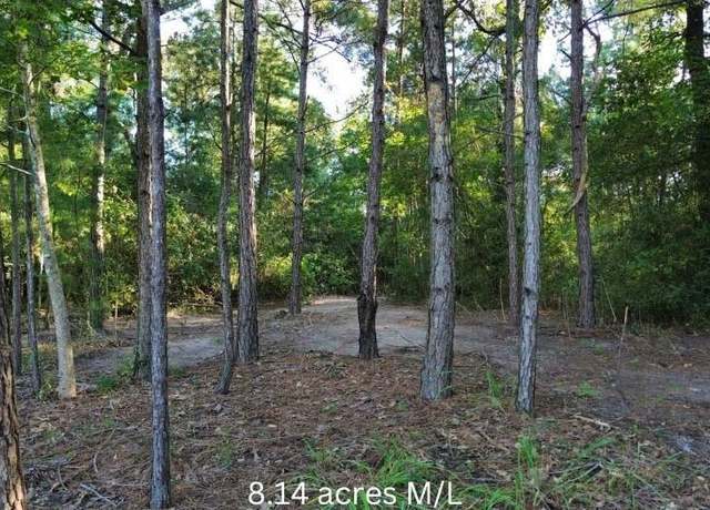 Property at 0 Fannie Carrell Rd, Lufkin, TX 75901