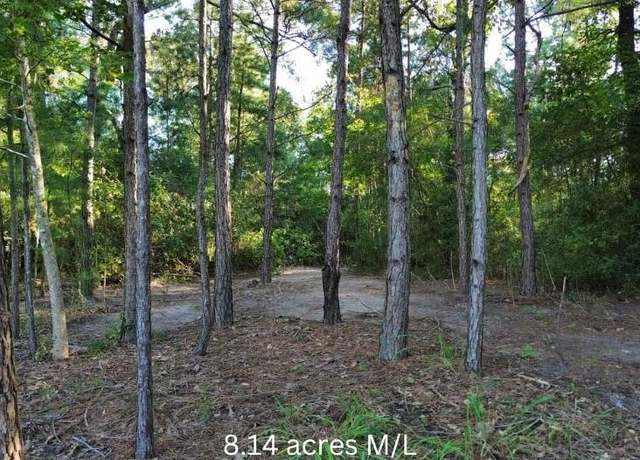 Property at 0 Fannie Carrell Rd, Lufkin, TX 75901