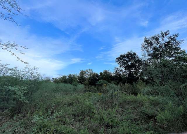 Property at 506 Rogers St, Wallis, TX 77485