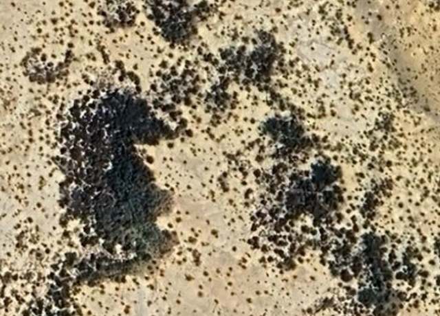 Property at 000 Corzo Ave, Study Butte-terlingua, TX 79852