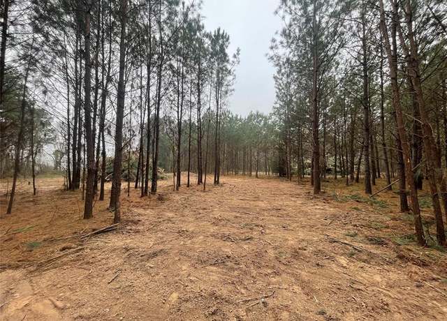 Property at TBD - Tract 1 County Road 3015, Dayton, TX 77535