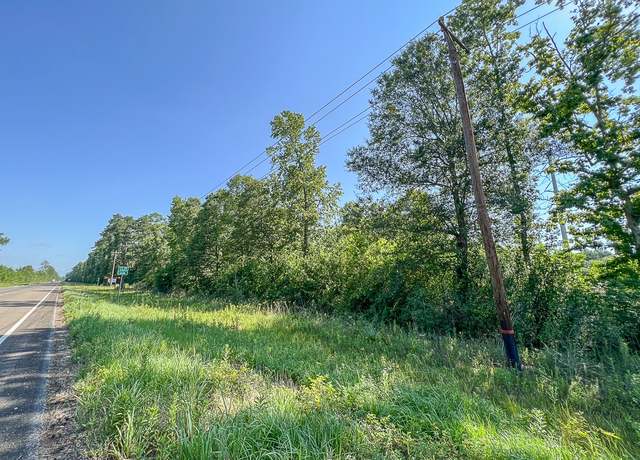 Property at TBD Fm 1008, Dayton, TX 77535