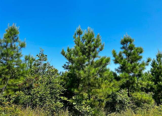 Property at 0 Carters Ferry Rd, Milam, TX 75959
