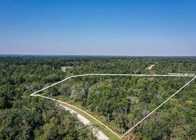 Property at 10 Acres Lot 81 Woodland Hills Rnch, Centerville, TX 75833