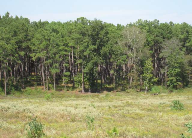 Property at 0025 Fm 256 N, Woodville, TX 75979