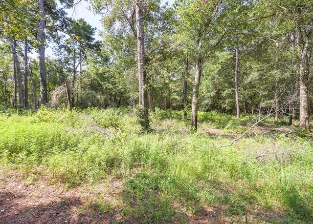 Property at 12800 Birch Ln, Plantersville, TX 77363