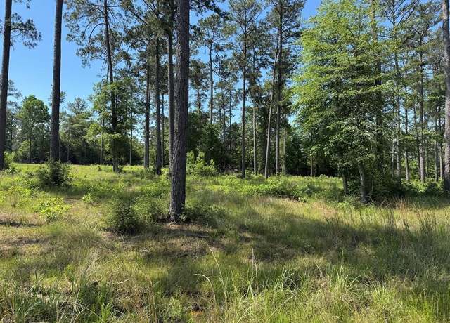 Property at 006 Private Road 6028 Tract 1-6, Brookeland, TX 75931