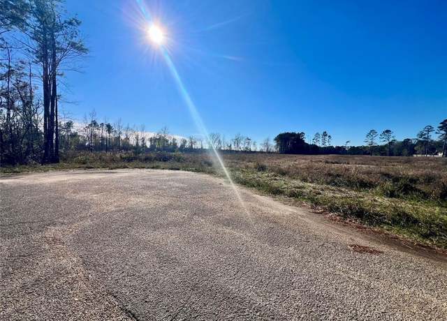 Property at 000000 Ladybug Ct, Porter Heights, TX 77365