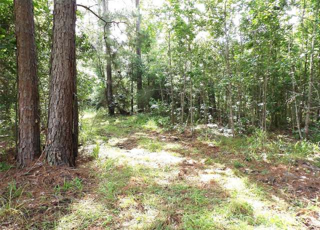Property at TBD Fsr 536, Kennard, TX 75847