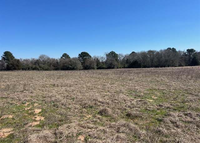 Property at 10.5 AC CR 145, Centerville, TX 75833