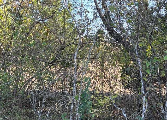 Property at Lot #3 CR 218 Rd, Anderson, TX 77830