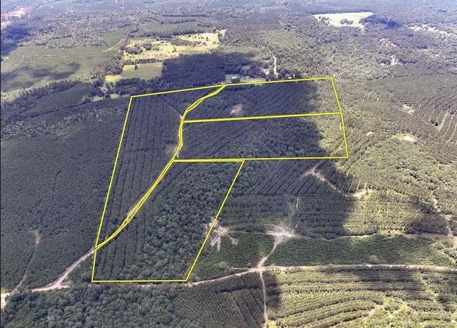 Property at 0 County Road 1425, Warren, TX 75979