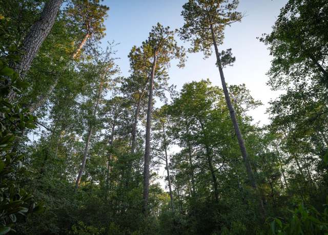 Property at TBD 1 Fm-1414, Burkeville, TX 75932