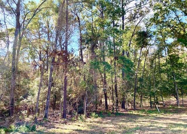 Property at TBD 4.6+/-AC CR 2310, Woodville, TX 75979