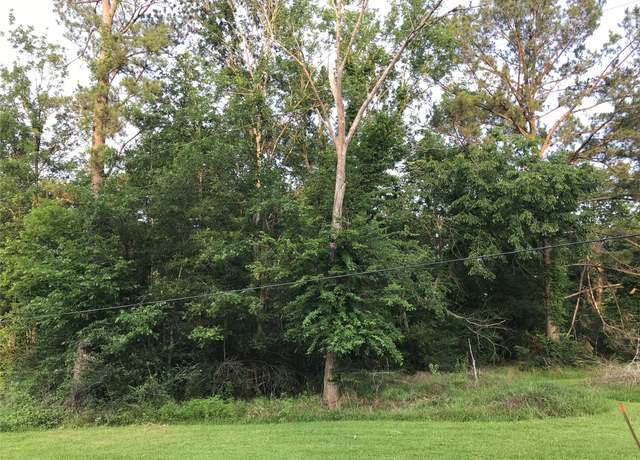 Property at 150 Lakeside Ct, Goodrich, TX 77335
