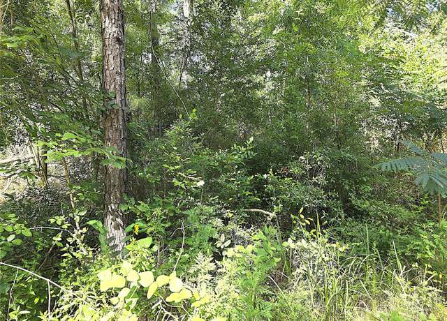 Property at TBD Newberry Dr, Livingston, TX 77351
