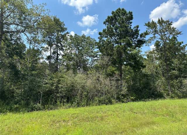 Property at 377 Exploration Rd, New Waverly, TX 77358