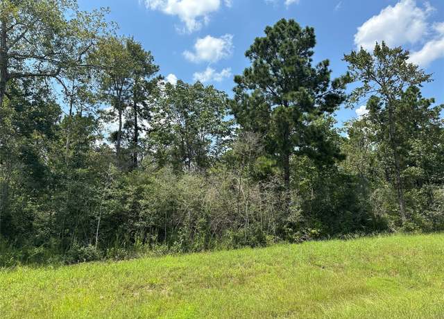Property at 377 Exploration Rd, New Waverly, TX 77358