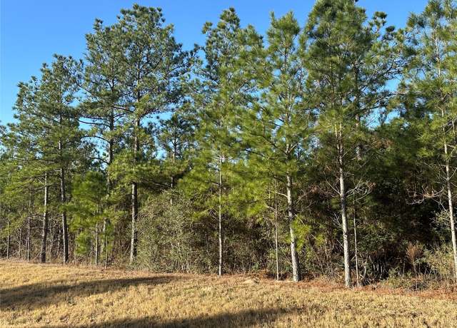 Property at 15749 Woodlife Rd, Willis, TX 77378