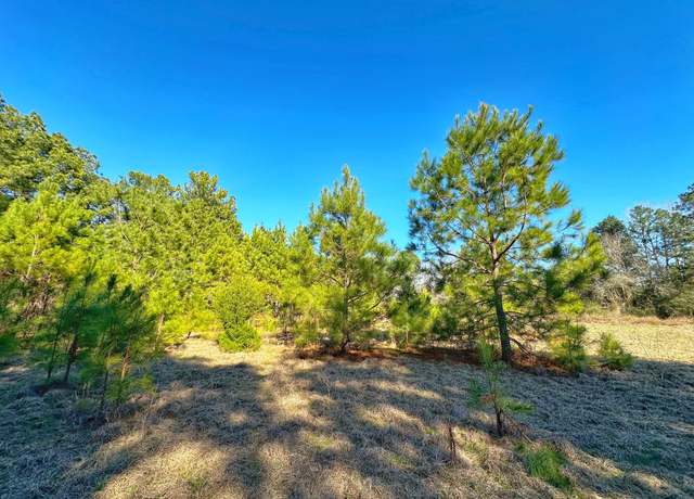 Property at 3 acres Smith Rd, Centerville, TX 75833