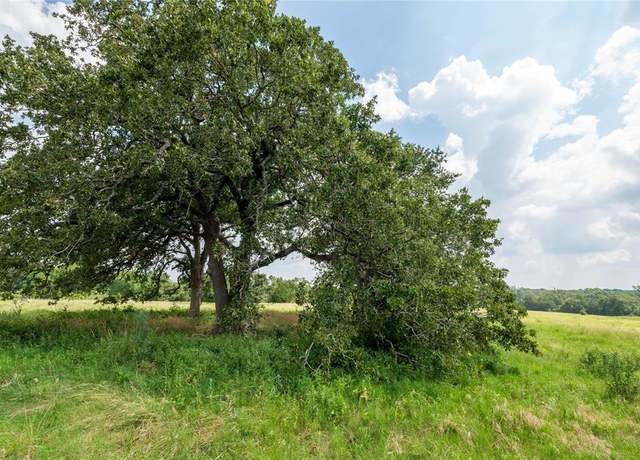 Property at 4391 Lynn Rd, Chappell Hill, TX 77426