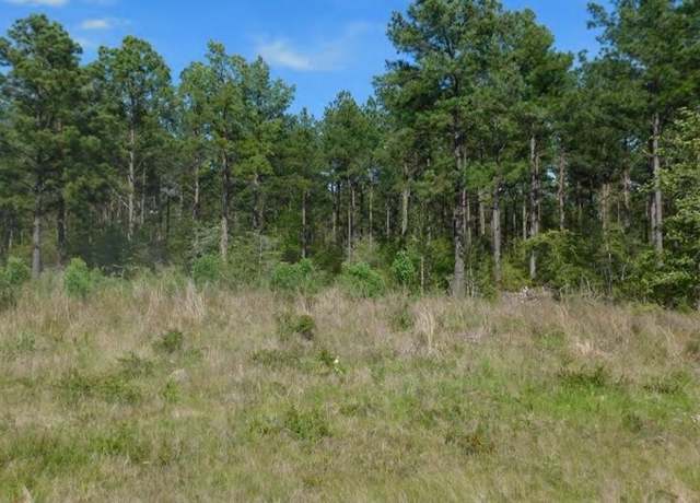 Property at TBD Martin Cochran Rd, Huntington, TX 75949