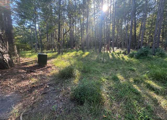 Property at 019 Dagger Dr N, Brookeland, TX 75931