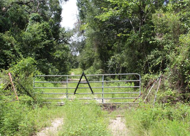 Property at 1306 County Road 3455a, Lovelady, TX 75851